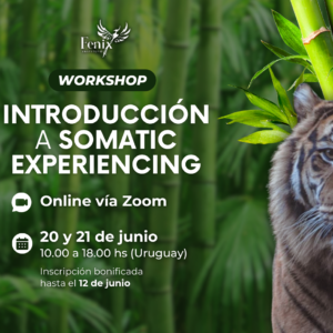 Introductorio a Somatic Experiencing
