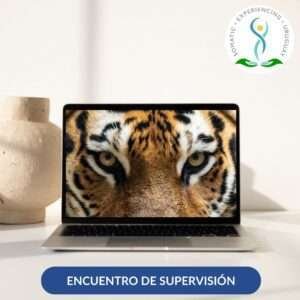 Supervision grupal